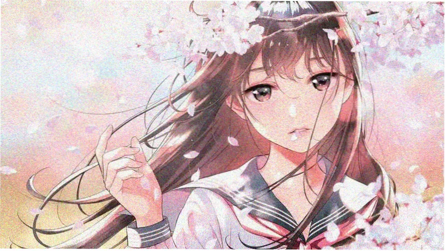 请回答1988全集免费观看高清画面